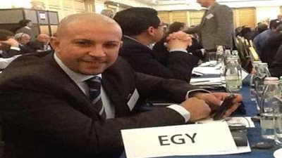 تامر العربي: تأجيل الانتخابات التكميلية للسلاح قرار صائب