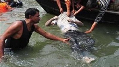 الاستماع إلى أقوال طفل عثر بحوزته على هاتف غريق إمبابة