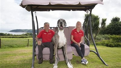 بالصور.. أطول كلب في العالم ينام 22 ساعة يوميًا