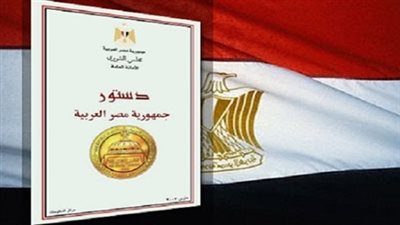 «تمرد» تدشن حملة «نعم للمشاركة» للاستفتاء على الدستور