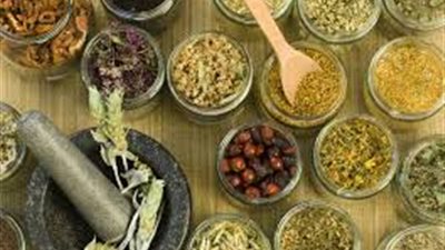 10 أعشاب تساعد على إنقاص الوزن.. تعرفي عليها