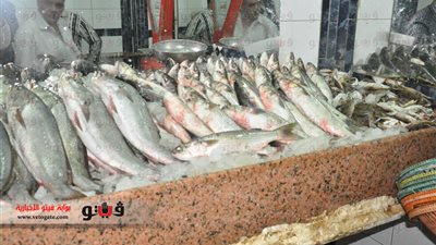 بالصور.. ارتفاع أسعار الأسماك بأسواق الإسكندرية