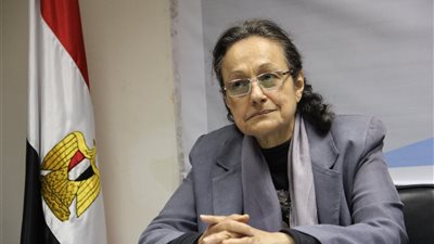 سكينة فؤاد يجب استخدام أوراق الضغط العربية لصالح القضية الفلسطينية