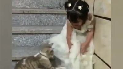 رد فعل صادم لطفلة اقتربت منها قطة (فيديو)