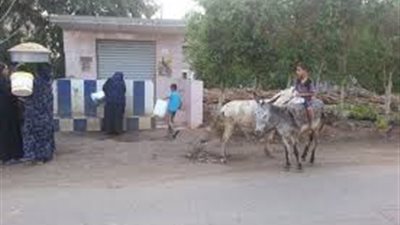 الطب الوقائى بالمنوفية يجمع عينات مياه وأسماك من فرع رشيد