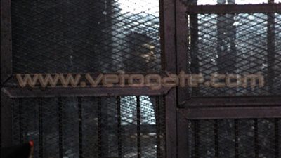 قاضي محاكمة 