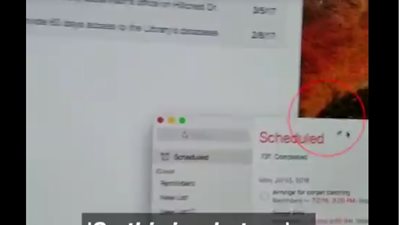 حشرة تصل لمكان غير متوقع بلاب توب (فيديو)