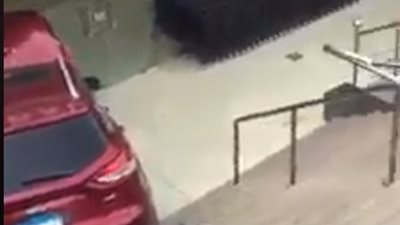 حادث مروع لامرأة تركت سيارتها تعمل وبها أطفالها بالتجمع الخامس (فيديو)