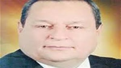 «قطع الغيار» تبحث مخاطبة «الببلاوي» لتخصيص قطع أراضٍ