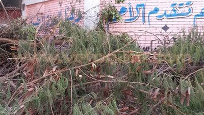 بالصور.. القمامة تغلق أبواب مدرسة ناصر الابتدائية بشبرا الخيمة