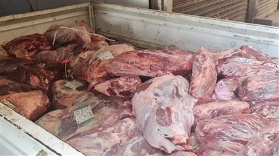 ضبط 10 أطنان لحوم مجمدة مستوردة في شمال الجيزة
