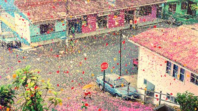 بالفيديو والصور.. السماء تمطر 