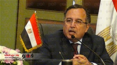 نبيل فهمي ينقل للرئيس الغيني رسالة من الرئيس عدلي منصور