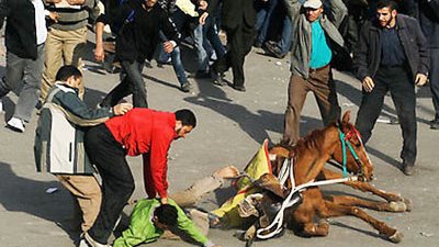 ننشر حيثيات توصية 