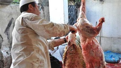 بروتوكول تعاون بين الأوقاف والتموين لتوفير لحوم الأضاحي.. اليوم