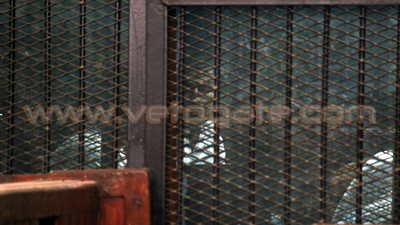 شاهد «خلية الصواريخ»: المتهمون تعرفوا على بعض أثناء اعتصام رابعة