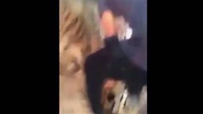 بالفيديو.. لحظة نهش نمر قدم صاحبه السعودي