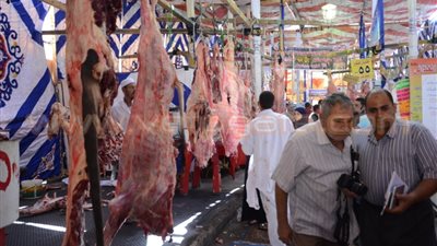 بالفيديو والصور.. «التموين»: 30% تخفيضات في معرض لحوم عيد الأضحى بمدينة نصر