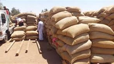 زيادة مخزون القمح بميناء الإسكندرية إلى 928 ألف طن