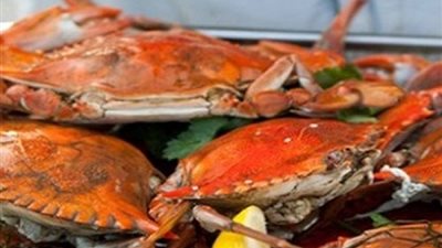 «الكابوريا» تسجل 37 جنيهًا بسوق الجملة