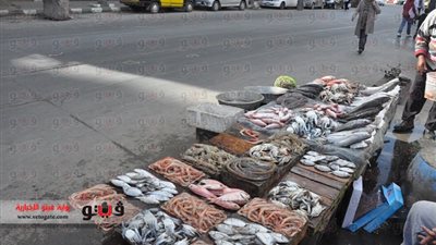 بالصور... صيادو بحري بالإسكندرية: «نحتاج رعاية صحية»