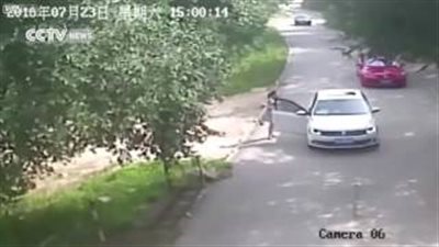 بالفيديو.. نمر ينقض على سائحة بحديقة حيوان في «بكين»