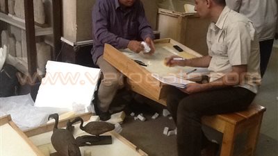 بالصور.. لجنة المتحف الكبير تنقل آثارا جديدة من «التحرير»