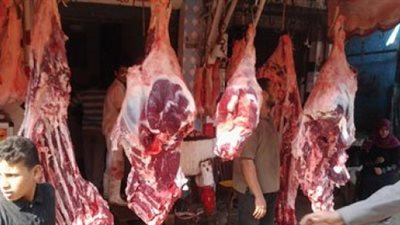 «ضد الغلاء»: طرح كيلو اللحوم بـ55 جنيها لعيد الأضحى أوائل أغسطس