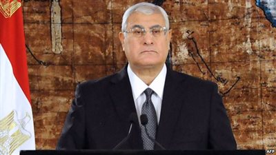 مصادر: الاستفتاء على الدستور يومي 28 و 29 ديسمبر الجاري