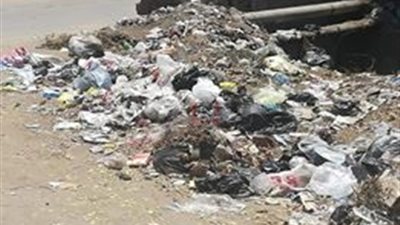 مدخل ومقابر «القضابة» بالغربية تتحول لمقلب قمامة.. ومسئول يكشف السبب