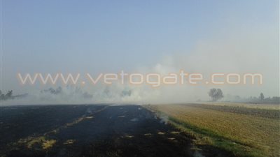 بالصور.. السحابة السوداء تغطي سماء كفر الشيخ