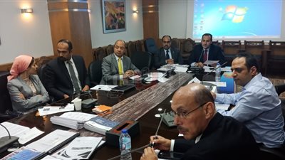 مساعد وزيرة الهجرة: نسعى لتذليل العقبات أمام المصريين بالخارج