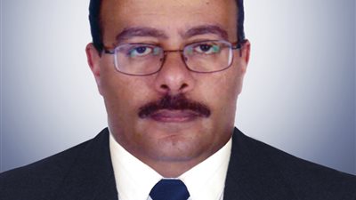 انطلاق أنشطة الشبكة العربية الأفريقية لمساعدة المنشآت الصغيرة