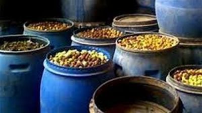 تحليل عينات وأدوات بمصنع مخللات بـ«أولاد صقر» بعد وفاة عاملين