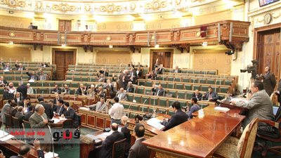 مشادة كلامية بين نواب الأقباط وممثل 