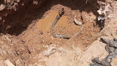 إصلاح هبوط أرضي بشارع القومية في الجيزة