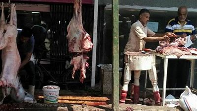 رئيس حي العجوزة: ضبط عدد من المتسولين وتسليمهم للشرطة