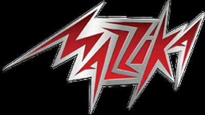 المتحدث الإعلامي لـ