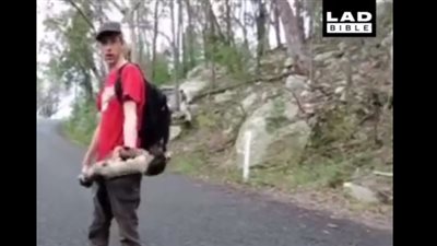 بالفيديو.. 17 مليون مشاهدة لشاب غبي سقط بطريقة مروعة