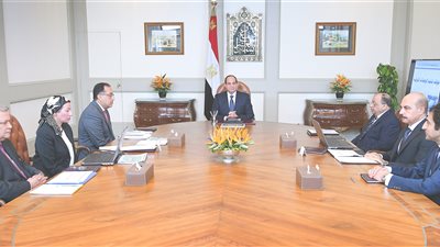 تفاصيل اجتماع السيسي مع وزيري التنمية المحلية والبيئة بحضور مدبولي