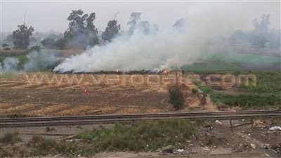 بالصور.. حرق قش الأرز في كفر أبو جمعة بالقليوبية