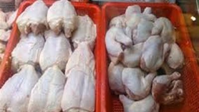 تصدير ١.٧٣ ألف طن دواجن خلال ٦ أشهر