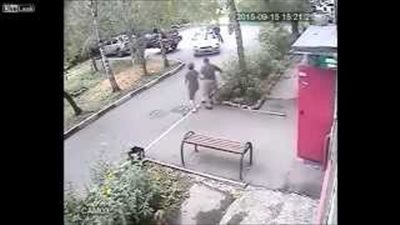 بالفيديو.. مطاردة طريفة للص سرق «جوالين بطاطس»