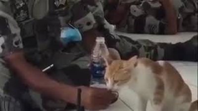 بالفيديو.. رد فعل رجل أمن سعودي عثر على قطة ظمآنة