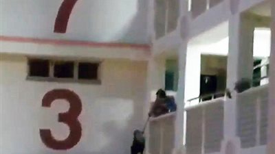 لحظة سقوط قط من الطابق الـ11 (فيديو وصور)