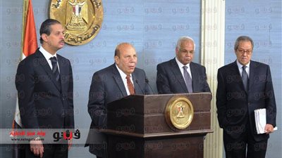 لبيب: الدولة بأكملها مجندة للعمل على نجاح الاستفتاء