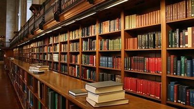 عبير عبد الشكور تنتهي من كتابة مجموعتها القصصية الجديدة