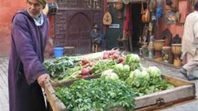 شرطة النقل تضبط 71 بائعا متجولا و1756 قضية