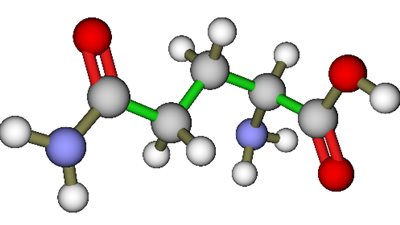 الأحماض الأمينية و«ليس الغذاء» تؤثر على تمثيل الأنسولين