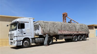 محافظ قنا: عنبر جديد لإنتاج 15 ألف كتكوت بمشروعات الغذاء (صور)